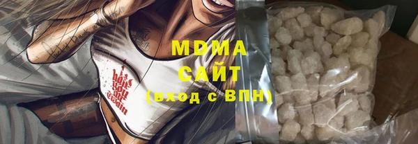 индика Краснослободск