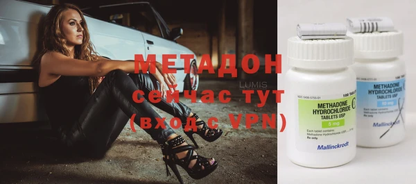 индика Краснослободск