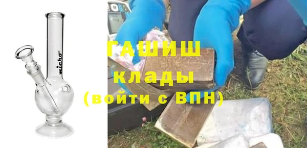 индика Краснослободск