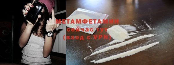 индика Краснослободск
