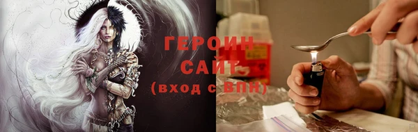 индика Краснослободск