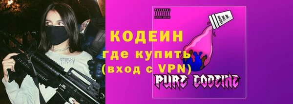 индика Краснослободск