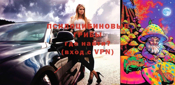 индика Краснослободск