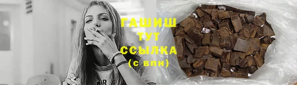 индика Краснослободск