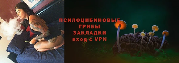 2c-b Краснотурьинск