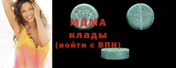 индика Краснослободск