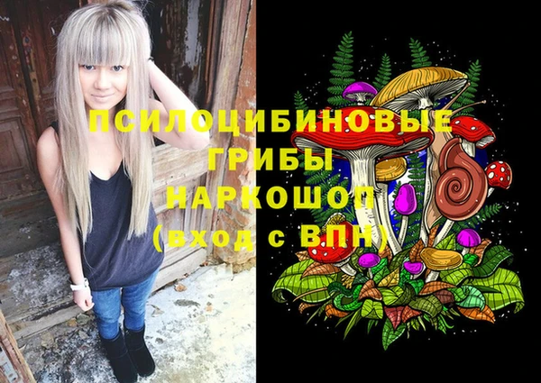2c-b Краснотурьинск