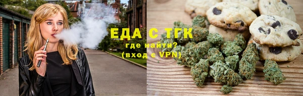 индика Краснослободск