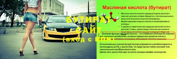 индика Краснослободск