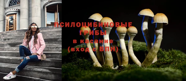 индика Краснослободск