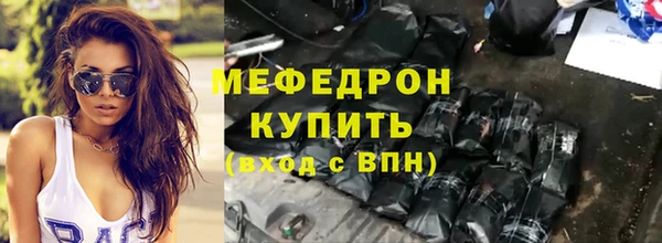 индика Краснослободск