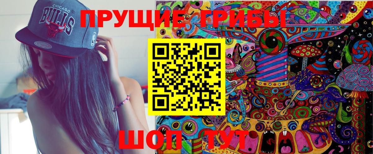Галлюциногенные грибы Magic Shrooms  где купить наркотик  Орск  Вход с VPN  Псилоцибиновые грибы Psilocybe 