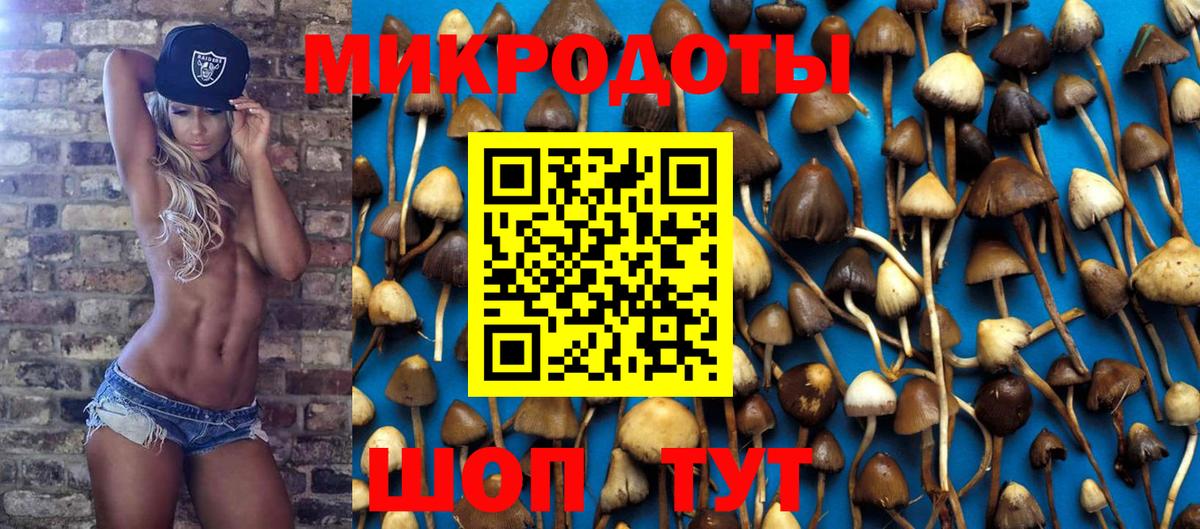 Псилоцибиновые грибы мухоморы Орск