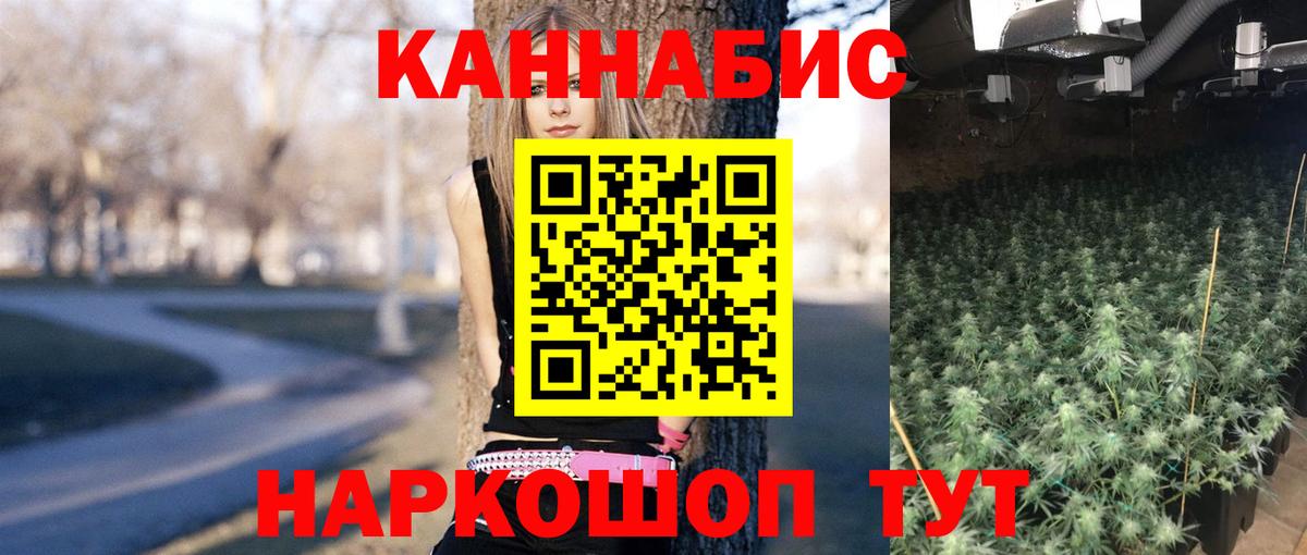 Бошки Шишки THC 21%  Бошки Шишки Bruce Banner  Орск  Марихуана сатива  Шишки марихуана гибрид 